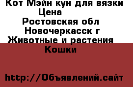 Кот Мэйн-кун для вязки › Цена ­ 3 000 - Ростовская обл., Новочеркасск г. Животные и растения » Кошки   